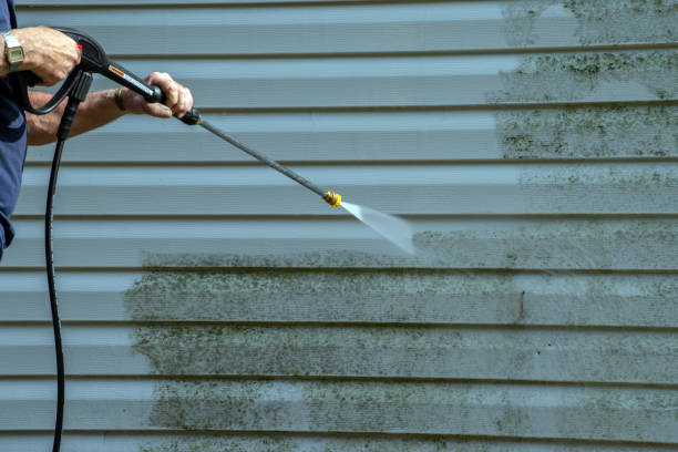 Best Deck Cleaning Services  in Lucerne, CA